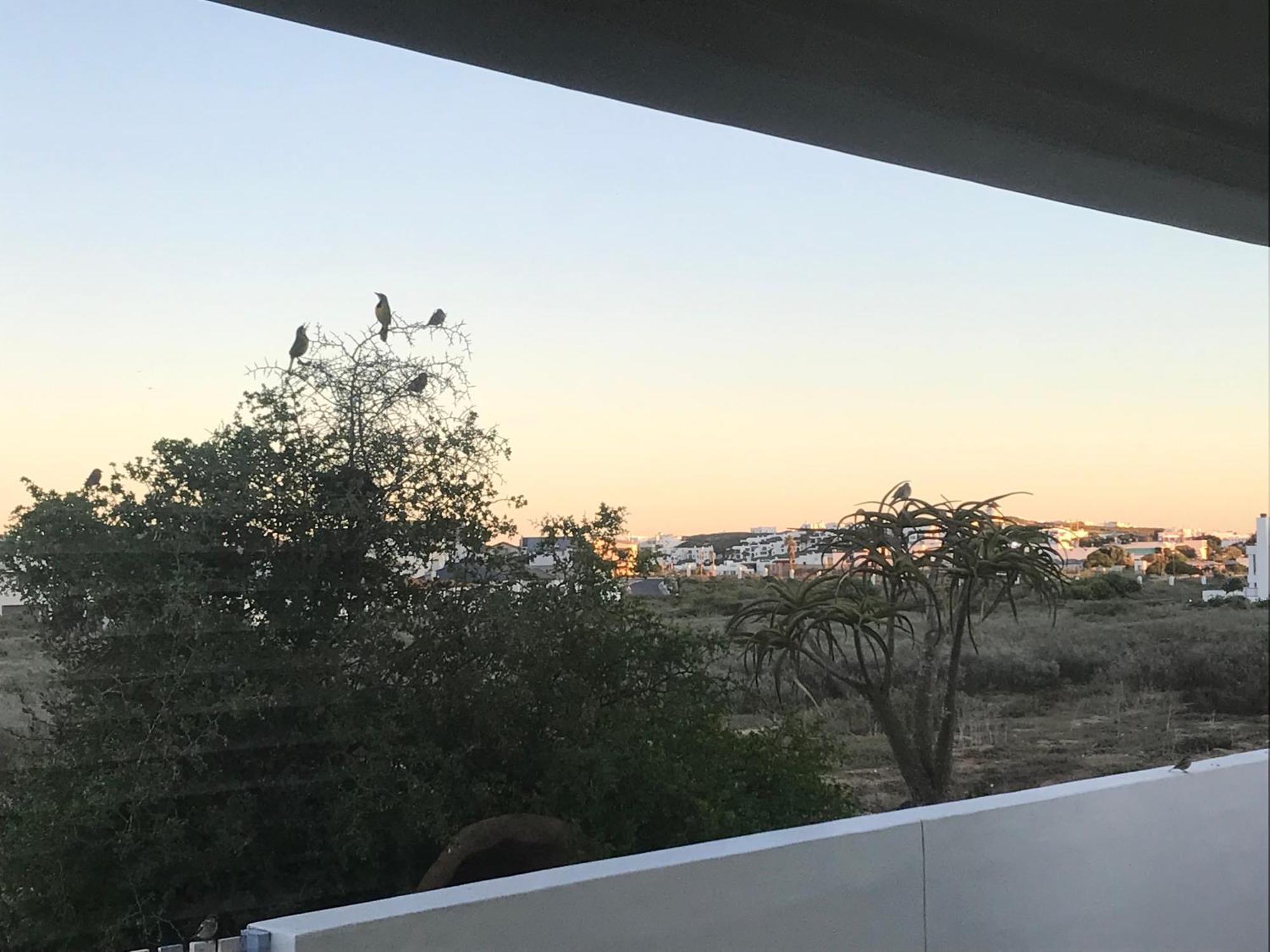 Perfect 10 - 10 To 13 Sleeper Luxury Holiday Home Breakage Deposit Of R2500 Per Weekend Lease Langebaan Eksteriør bilde