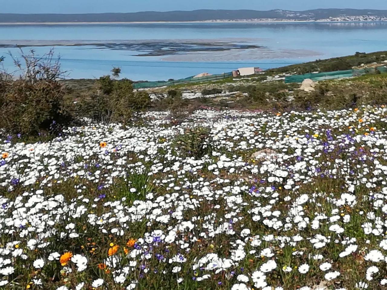Perfect 10 - 10 To 13 Sleeper Luxury Holiday Home Breakage Deposit Of R2500 Per Weekend Lease Langebaan Eksteriør bilde