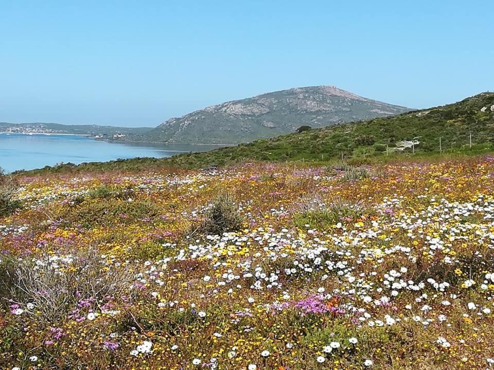 Perfect 10 - 10 To 13 Sleeper Luxury Holiday Home Breakage Deposit Of R2500 Per Weekend Lease Langebaan Eksteriør bilde